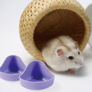 Comedero esquinero Roedor