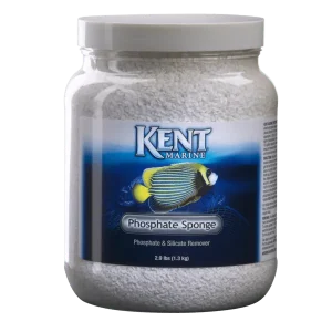 KENT PHOSPHATE SPONGE 1.2LB
