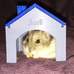 Casa Personalizada 1