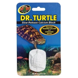 ZOOMED DR. TURTLE