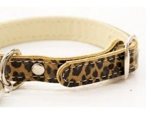 Collar de gato