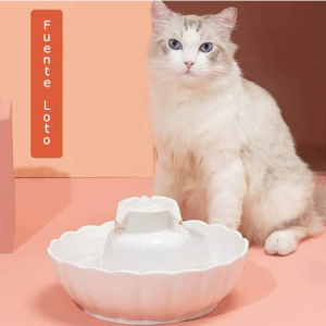 Fuente Loto en cerámica