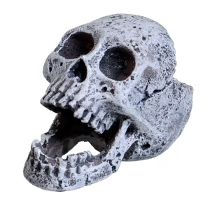 UNDERWATER TREASURES MINI LAUGHING SKULL