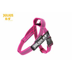 Julius idc cinta rosa