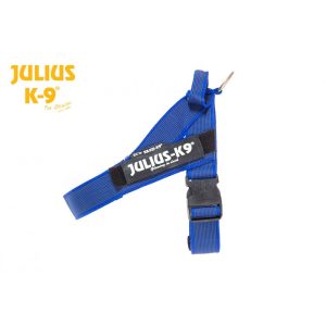 Julius idc cinta azul