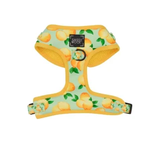 SASSY WOOF ADJUSTABLE HARNESS MAIN SQUEEZE