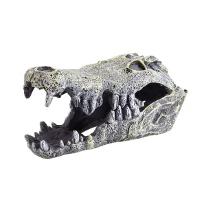 UNDERWATER TREASURES CROCODRILE SKULL