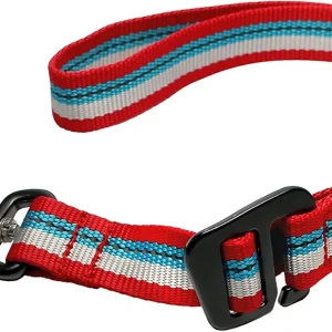 KURGO Walk About Traffic Lead