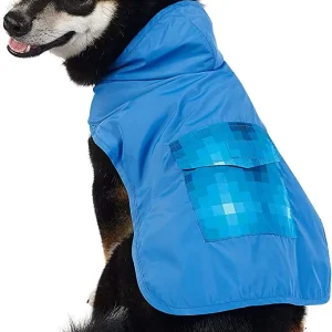 BEST FURRY FRIENDS BLUE OMBRE GRAPHIC RAINCOAT