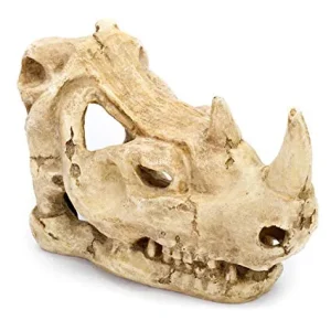 PENN PLAX RHINO SKULL