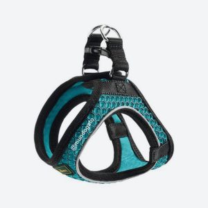 Arnés Hunter Turquesa – Talla xxs – xs