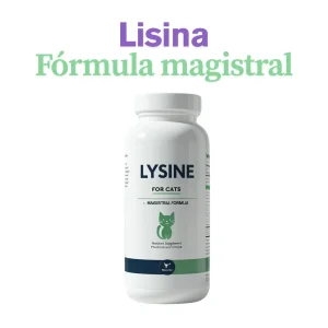 Lisina – Formula magistral