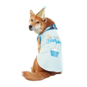 BEST FURRY FRIENDS BIRTHDAY BOY PARTY SET