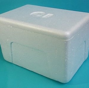 Caja Tecnopor para discos