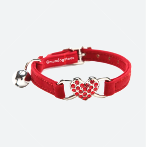 Collar para gatito con cascabel