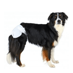 Pañales para hembra