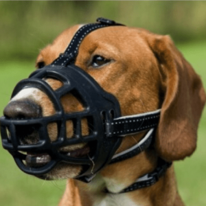 Bozal flexible de silicona