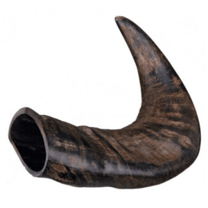 Asta de búfalo para perro