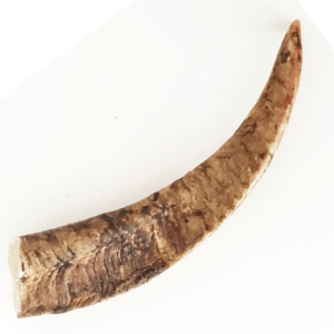 Asta de cabra para perro