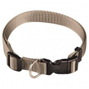 Collar de Nylon para perro Arppe Basic – Beige