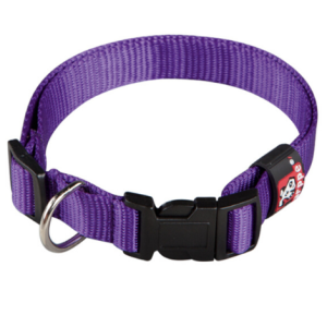 Collar de Nylon para perro Arppe Basic – Lila