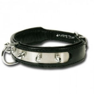 Collar para perro Thor Metal