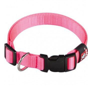 Collar de Nylon para perro Arppe Basic – Fucsia