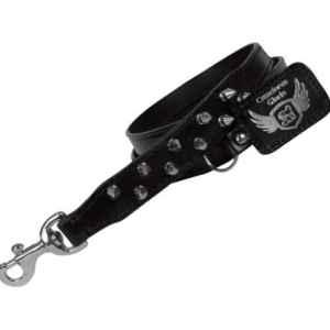 Correa de Piel para perro – 2 Filas Pinchos