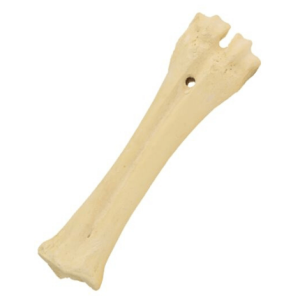 Hueso Largo para perro – Calcio