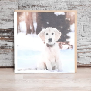 Postal navideña cachorro