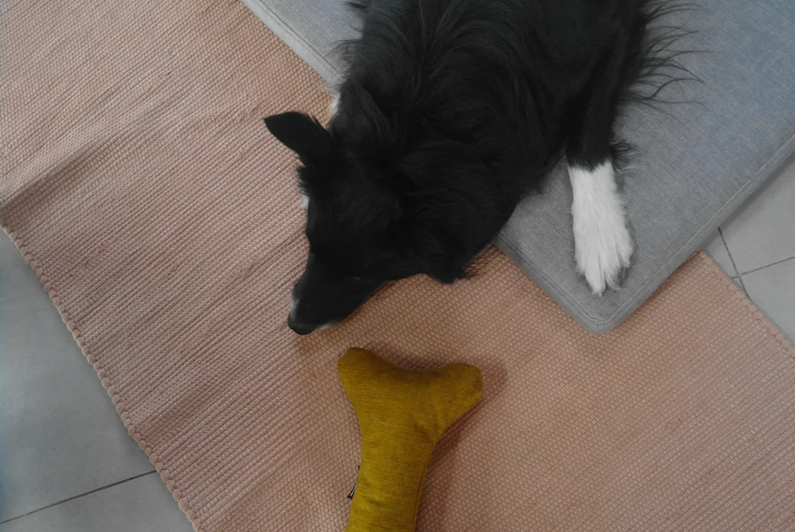 Cama XL colchón ortopédico premium con cierre 89x56x7,5cm. - Imagen 3