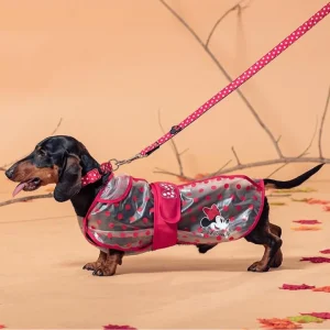 Capa Disney Minnie – Pilot impermeable 36cm