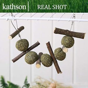 Juguete Colgante Esfera de Manzano Timothy