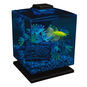 GLOFISH AQUARIUM KIT 1.5 GL