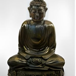 Colección Buda 1