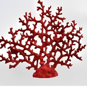 Colección Corales 5