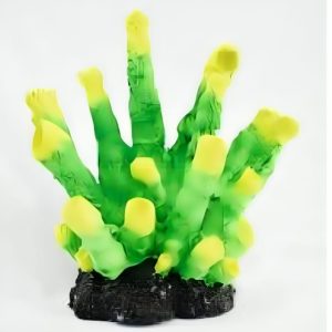 Colección Corales 7