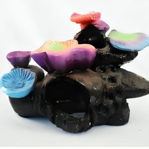 Colección Corales 12