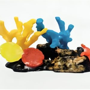 Colección Corales 13