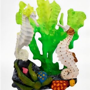 Colección Animales Marinos 2