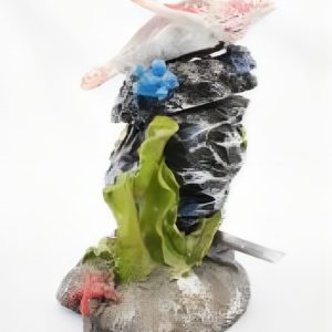 Colección Animales Marinos 5