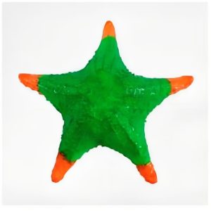 Colección Animales Marinos 14