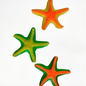 Colección Animales Marinos 15