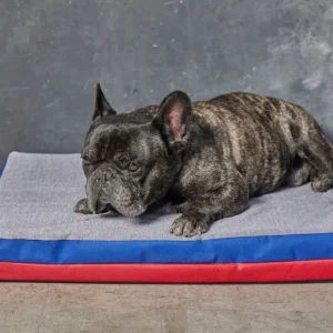 Cama frío/calor cálida/refrescante reversible. Colchón ortopédico. 75x49x7cm