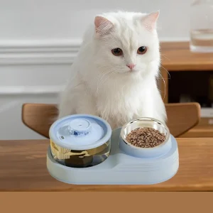 Comedero doble con bebedero fuente de agua 1L (Celeste)