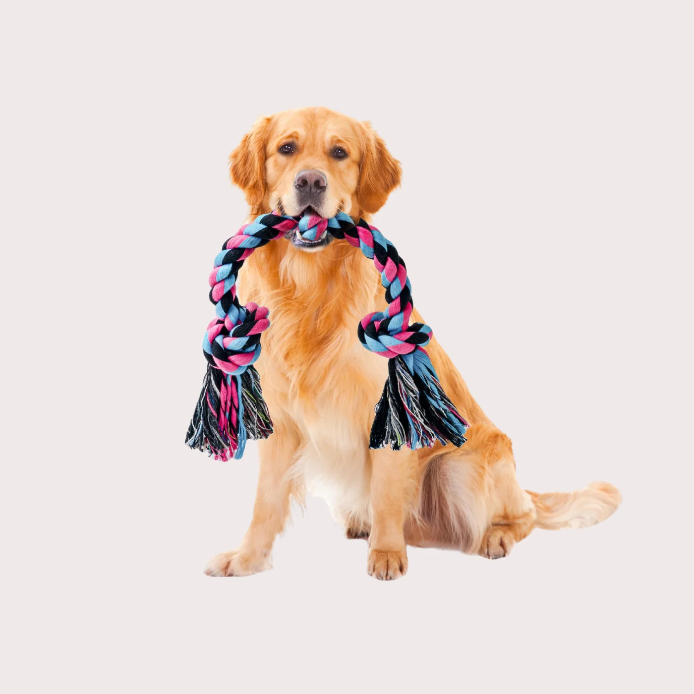 Cuerda Gigante XL! Mordedor de 3 nudos. 66 cm (Colores variados)