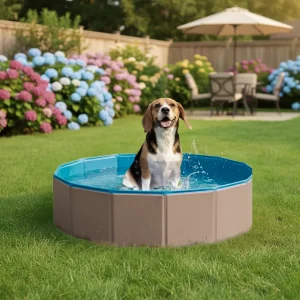 Piscina plegable G. 120x30cm. No precisa inflar (Varios colores)