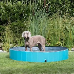 Piscina plegable XL. 160x30cm. No precisa inflar (Varios colores)