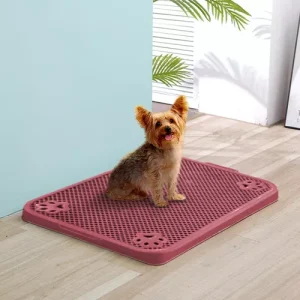 Bandeja sanitaria plana para entrenamiento 60x40cm. (Varios colores)