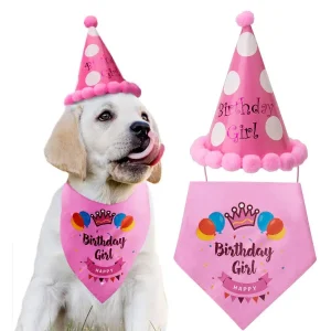 LUTER FEMALE DOG BIRTHDAY BANDANA TIANGLE SCARF AND HAT